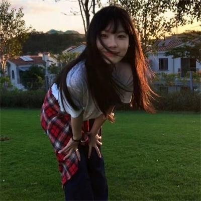 小树的天空